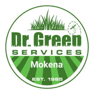 Dr. Green Services logo for lawn care in Mokena