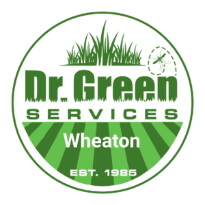 Dr. Green Services logo – professional lawn care in Wheaton, IL