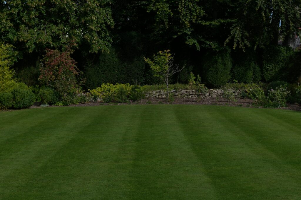Healthy green lawn maintained through proper fertilization timing and care.