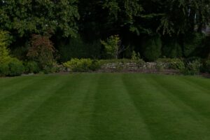 Healthy green lawn maintained through proper fertilization timing and care.