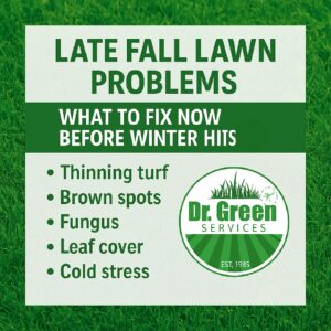 Late fall lawn problems graphic showing key issues like thinning turf, brown spots, fungus, leaf cover, and cold stress with the Dr. Green Services logo.