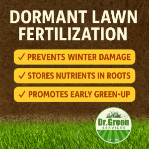Dormant lawn fertilization and lawn fertilizer science supports root nutrient storage and early spring turf growth 