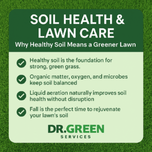 healthy soil supporting root growth explained through lawn care science