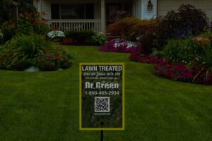 Dr. Green Services lawn flag placed in a healthy, weed-free lawn maintained by a family owned lawn care company.