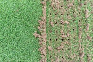 Comparison showing core aeration plugs and liquid aeration results in lawn aeration science