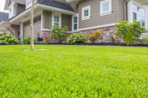 Healthy green lawn in front of a residential home illustrating lawn care science and turf health