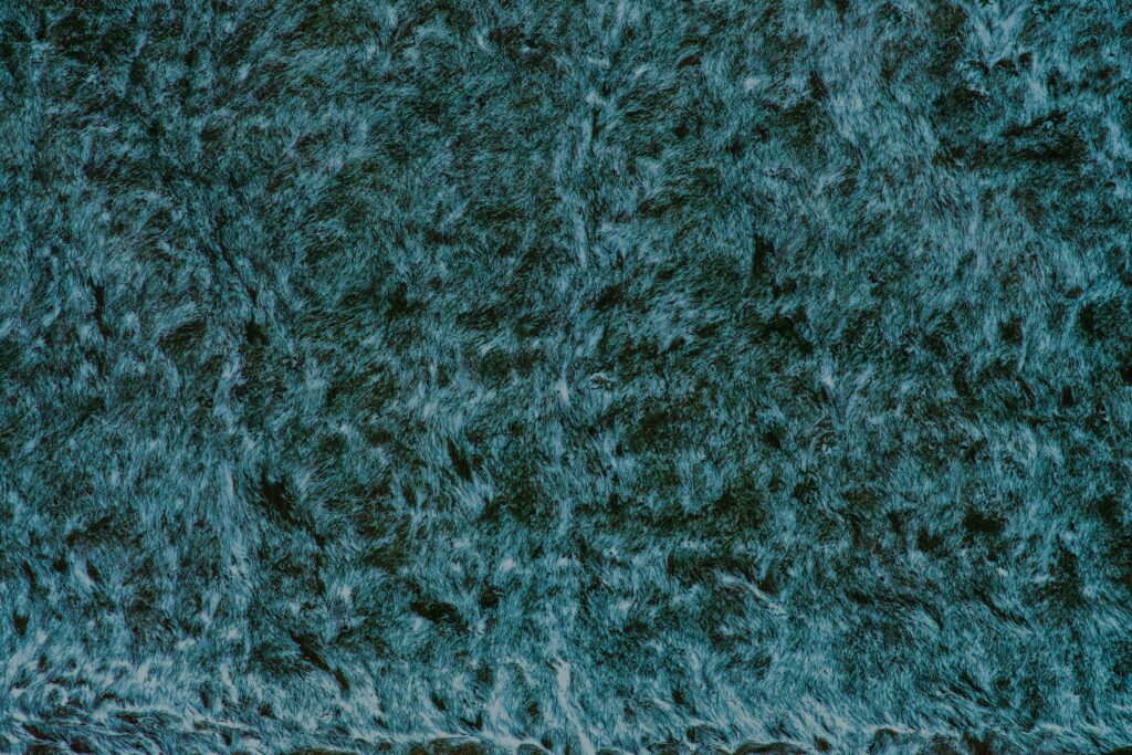 Dark, frost-covered lawn grass showing dormant turf texture during winter months.