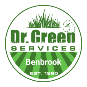 Dr. Green Services weed control in Benbrook, TX