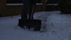 Snow being cleared from a frozen ground lawn, showing winter conditions that can damage dormant grass