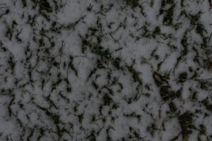 Snow on lawn showing light winter snow covering grass blades and turf beneath during cold weather
