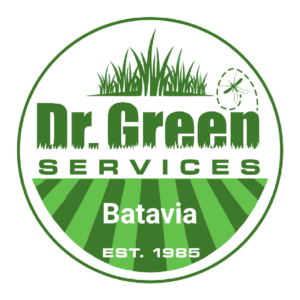 Dr. Green Services logo for grub control Batavia