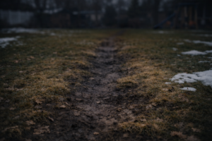 High traffic lawn damage caused by repeated foot traffic creating a worn, compacted path through grass