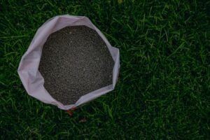 Bag of early spring bluegrass fertilizer sitting on a thick green Kentucky bluegrass lawn in Illinois