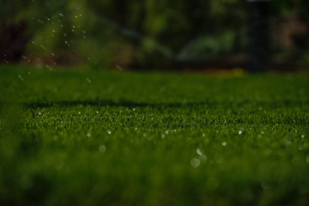 Dark lawn care hero image showing healthy grass and irrigation, illustrating why it’s easier to prevent lawn problems than fix them later.