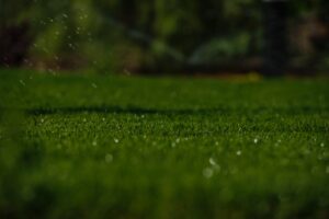 Dark lawn care hero image showing healthy grass and irrigation, illustrating why it’s easier to prevent lawn problems than fix them later.