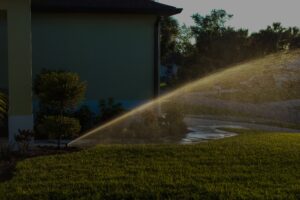 healthy green lawn with sprinkler running to avoid spring lawn care mistakes