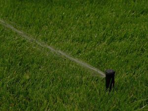 Sprinkler watering a healthy green lawn during summer lawn watering Chicago in the early morning